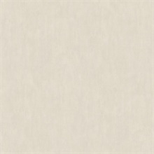 Riomar Off-White Weathered Faux Plaster Texture Wallpaper