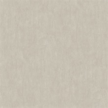 Riomar Taupe Weathered Faux Plaster Texture Wallpaper