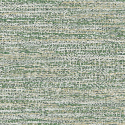 Ritorto Fern