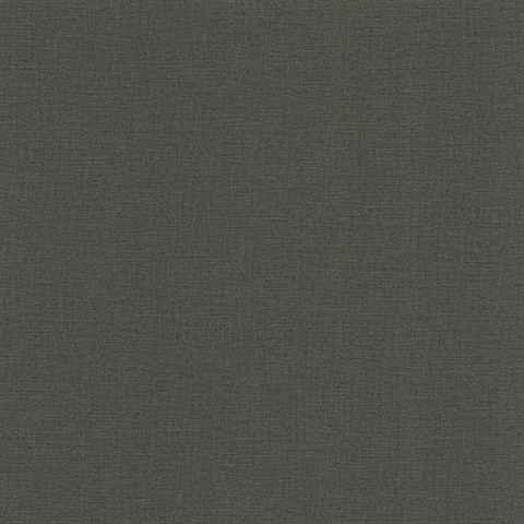 River Charcoal Linen Texture