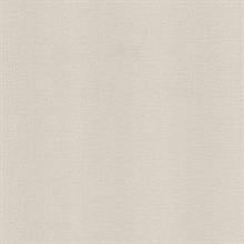 River Light Grey Linen Texture