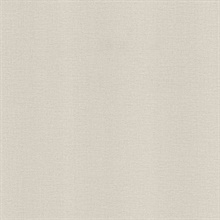 River Light Grey Linen Texture