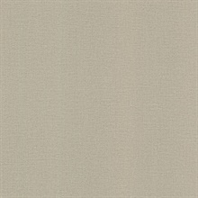 River Taupe Linen Texture