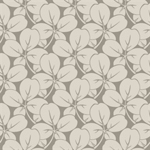 Robert Grey Clover Leaf Wallpaper