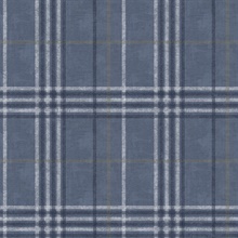 Rockefeller Navy Plaid