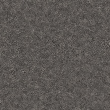Roma Leather 54 Black Suede Commercial Wallpaper