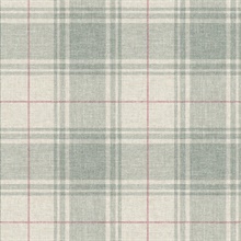 Rosco Plaid