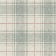 Rosco Plaid