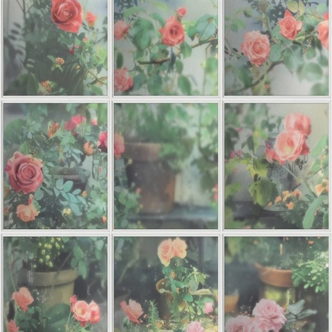 Rose Garden Window Trompe L'Oeil Green Wallpaper