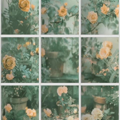 Rose Garden Window Trompe L'Oeil Orange Wallpaper