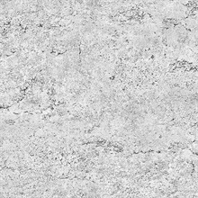 Rough Industrial Concrete Light Grey