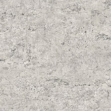 Rough Industrial Concrete Taupe