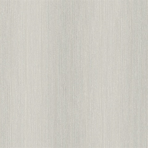 Rubato Silver Texture