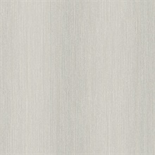 Rubato Silver Texture