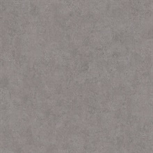 Ryu Dark Grey Faux Cement Texture Wallpaper