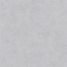 Ryu Light Grey Faux Cement Texture Wallpaper