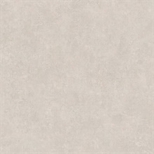 Ryu Taupe Faux Cement Texture Wallpaper