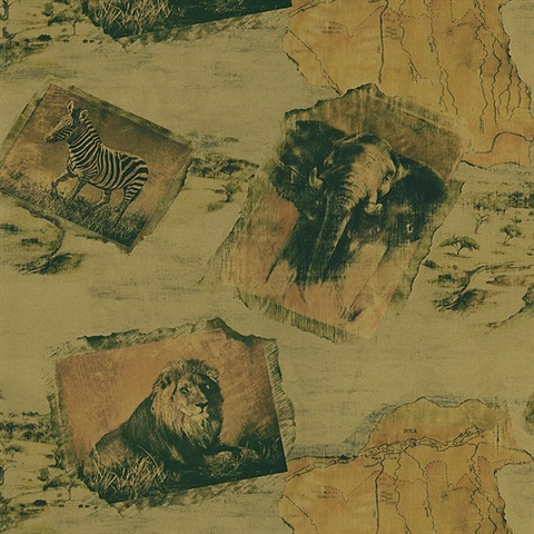 Safari Copper Animal Kingdom