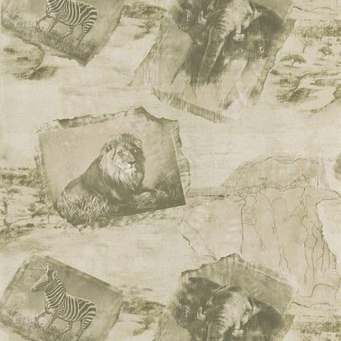 Safari Taupe Animal Kingdom