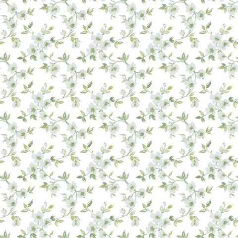 Sage Anenome Floral Mini Wallpaper