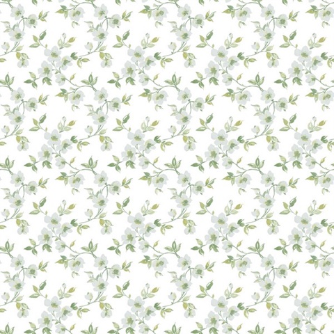 Sage Anenome Floral Mini Wallpaper