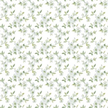 Sage Anenome Floral Mini Wallpaper