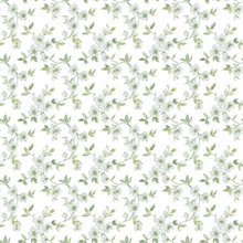 Sage Anenome Floral Mini Wallpaper