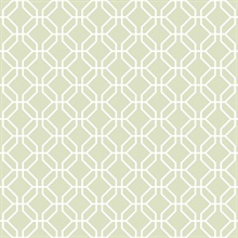 Sage Green Trellis Geometric  Negative Wallpaper