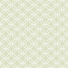 Sage Green Trellis Geometric  Negative Wallpaper