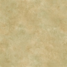 Sage Jenney Texture