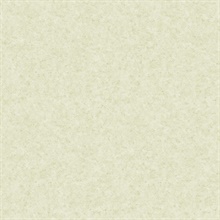 Sage Mini Faux Plaster Texture Wallpaper