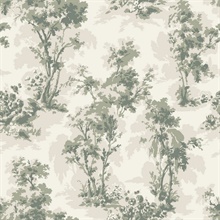 Sainsbury Sage Forest Wallpaper