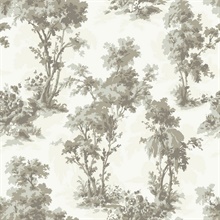 Sainsbury Slate Forest Wallpaper