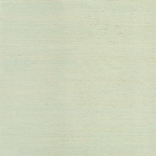 Sakiya Seafoam Sisal Grasscloth Wallpaper