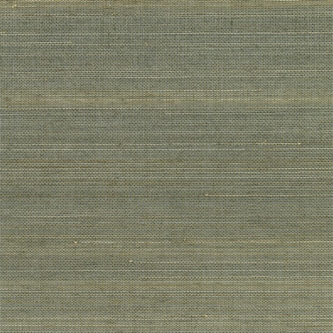 Salisbury Grey Grasscloth