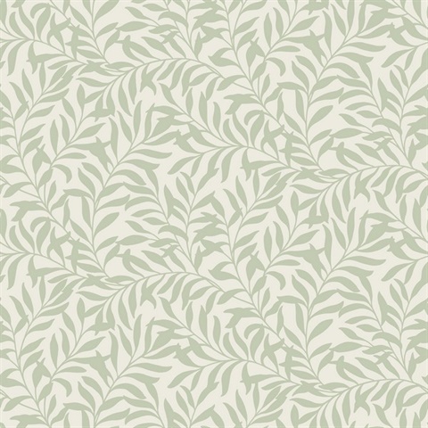 Salix Sage Leaf Wallpaper