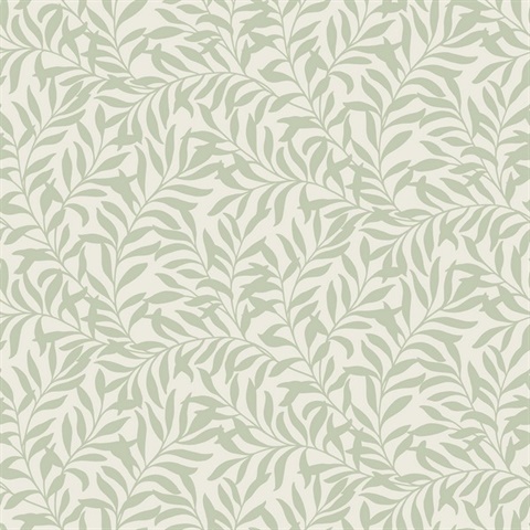 Salix Sage Leaf Wallpaper