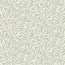 Salix Sage Leaf Wallpaper