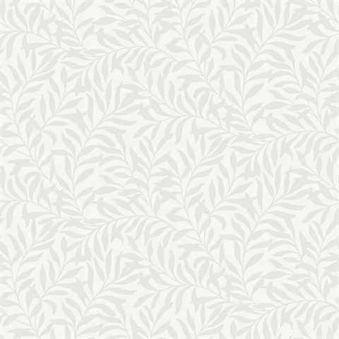 Salix Silver Leaf Wallpaper