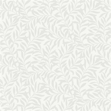 Salix Silver Leaf Wallpaper