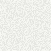 Salix Silver Leaf Wallpaper