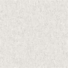 Salt Faux Plaster Wallpaper