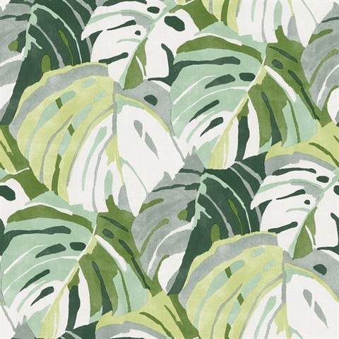 Samara Green Monstera Large Leaf Wallpaper