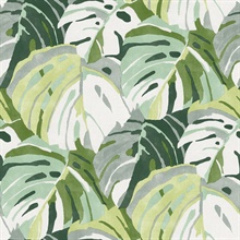 Samara Green Monstera Large Leaf Wallpaper