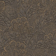 Samba Botanica Black and Gold Wallpaper