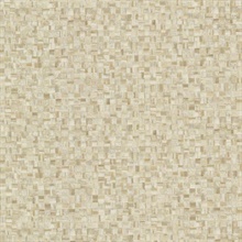 Sanaa Beige Paperweave Texture