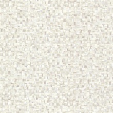 Sanaa Grey Paperweave Texture