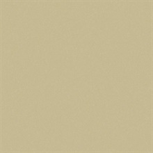 Sandstone Desert Air Type II 20oz Wallpaper