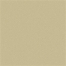 Sandstone Desert Air Type II 20oz Wallpaper