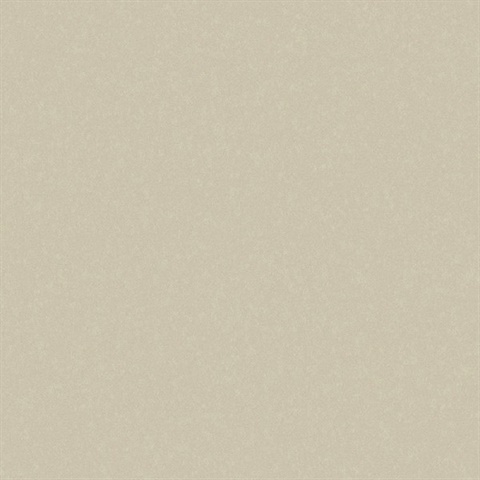 Sandstone Limestone Type II 20oz Wallpaper